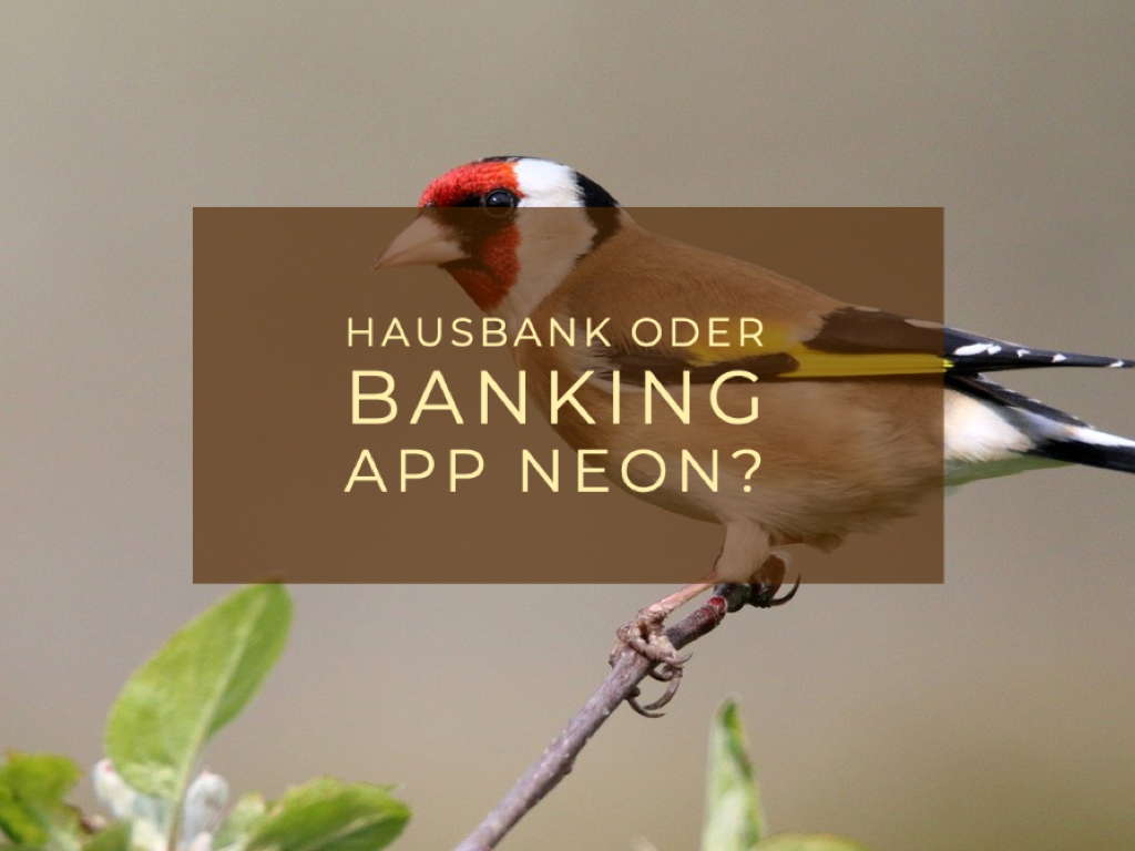 Gute Gründe jetzt mit der App Neon Bank Schweiz zu starten