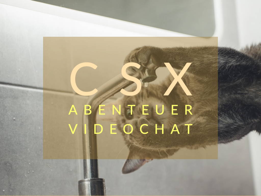 Credit Suisse CSX App Erfahrung